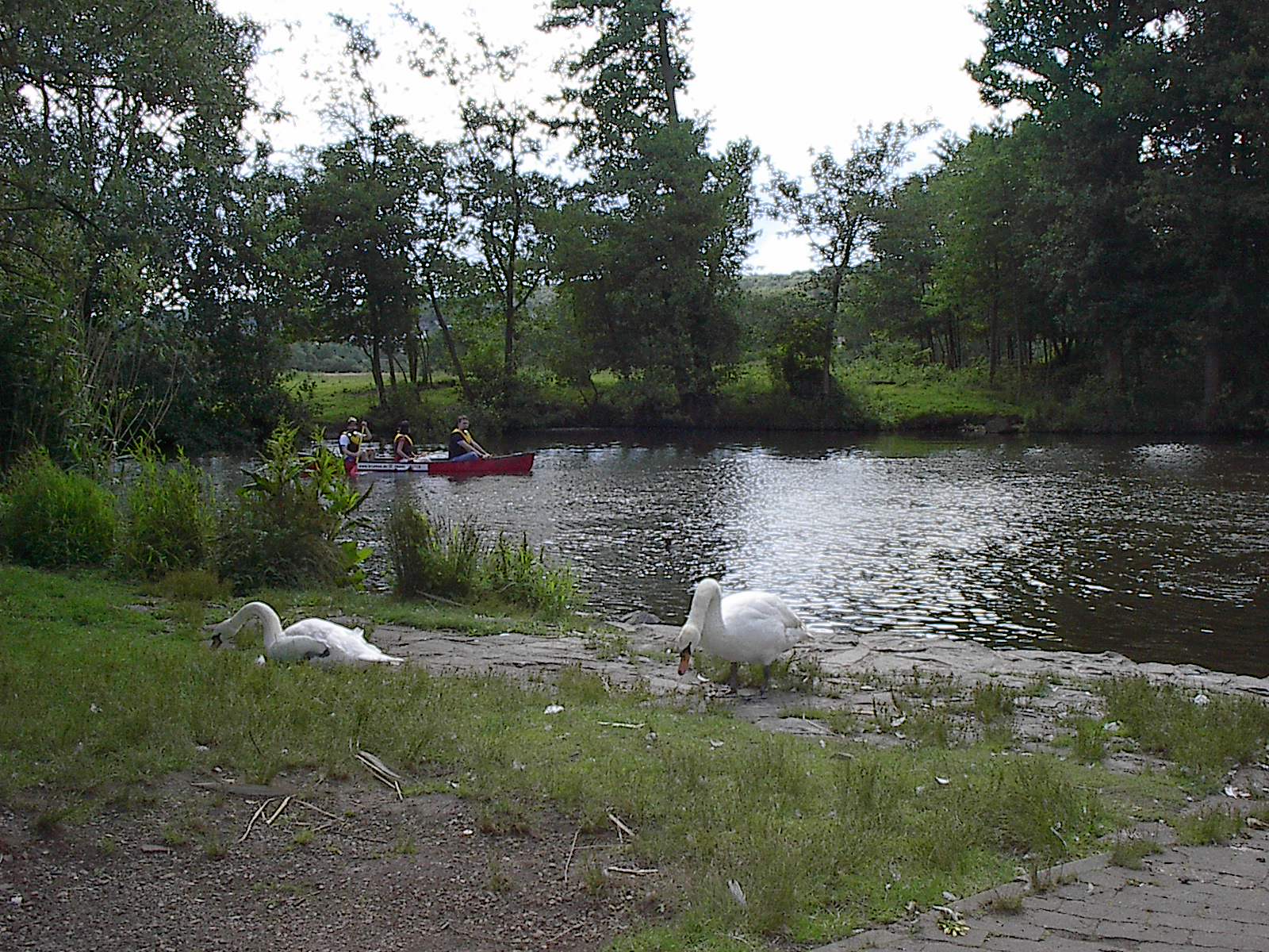 c-Lahn mit Boot 3.jpg